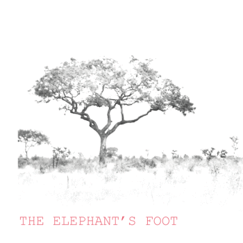 The Elephant's Foot | Play by Tim Jackson