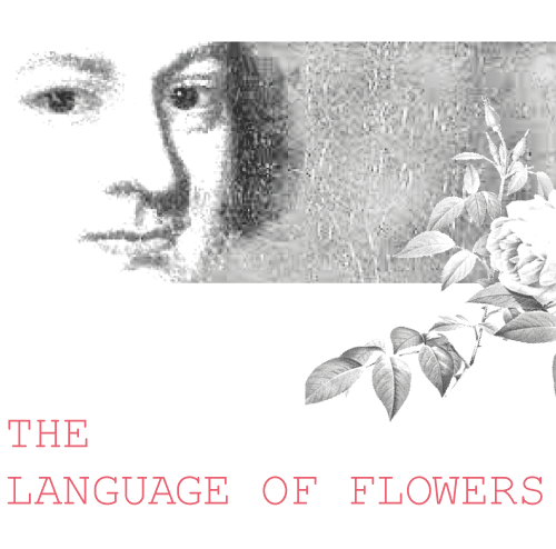 The Language of Flowers | Play by Tim Jackson