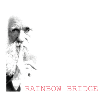 rainbow-bridge