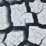 HM Treasury and the economics of climate and nature | EAC evidence submission